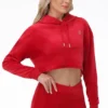 Big Bling High Low Cropped Hoodie Big Bling High Low Cropped Hoodie