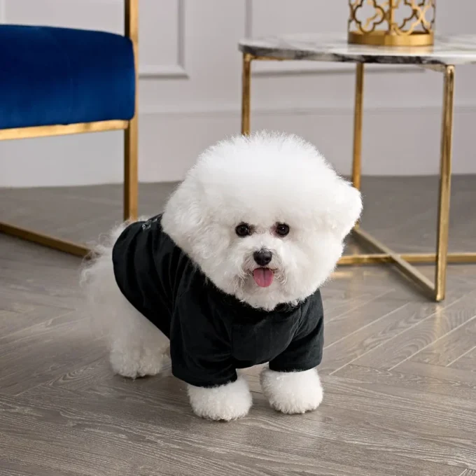 Bling Velour Pet Hoodie Bling Velour Pet Hoodie