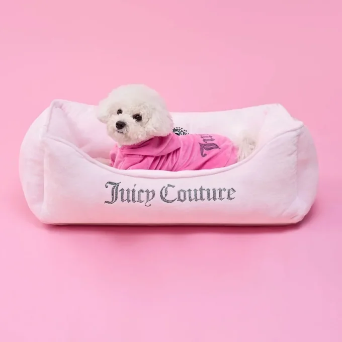 Bling Velour Pet Hoodie Bling Velour Pet Hoodie