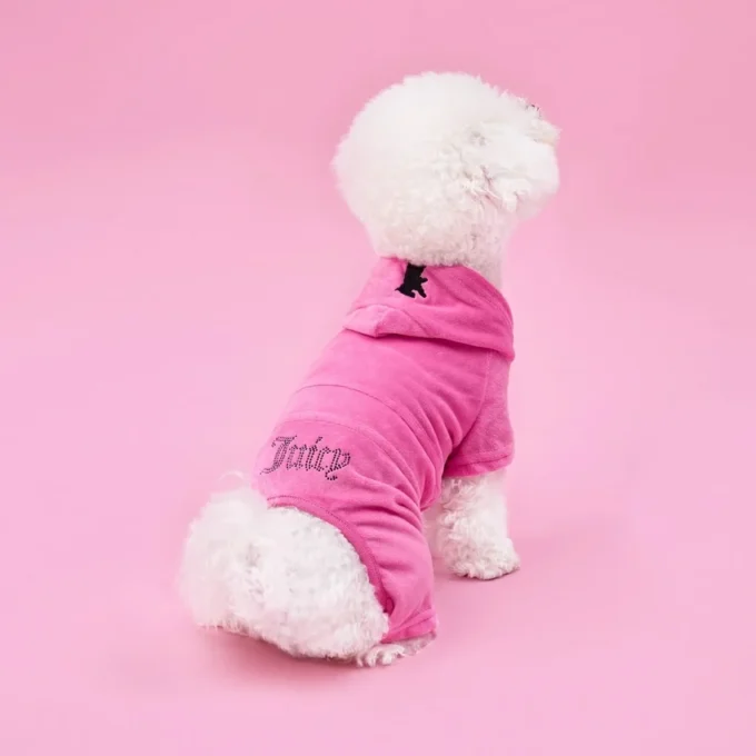 Bling Velour Pet Tracksuit Bling Velour Pet Tracksuit