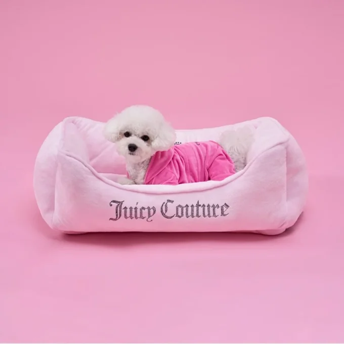 Crown Bling Black Pet Bed Crown Bling Black Pet Bed