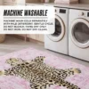 Finely Washable Rug, 7’10 X 10′