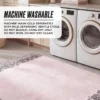 Finely Washable Rug, 7’10 X 10′