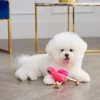 Fun Flamingo Squeaky Pet Toy Fun Flamingo Squeaky Pet Toy