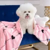 Pet Blanket & Pillow Set Pet Blanket & Pillow Set