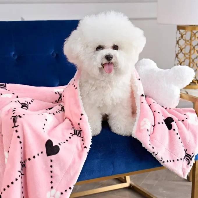 Pet Blanket & Pillow Set Pet Blanket & Pillow Set