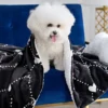 Pet Blanket & Pillow Set Pet Blanket & Pillow Set
