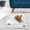 Pet Throw Blanket & Bone Pillow 2-Piece Set Pet Throw Blanket & Bone Pillow 2-Piece Set