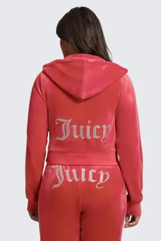 Plus-Size Og Big Bling Velour Hoodie