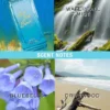 Rock the Rainbow Bye Bye Blues Eau De Toilette Spray Rock the Rainbow Bye Bye Blues Eau De Toilette Spray