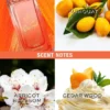 Rock the Rainbow Oh So Orange Eau De Toilette Spray Rock the Rainbow Oh So Orange Eau De Toilette Spray