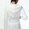 Technicolor Customizable Big Bling Velour Hoodie Technicolor Customizable Big Bling Velour Hoodie