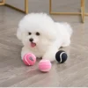 Tennis Balls for Pets Tennis Balls for Pets