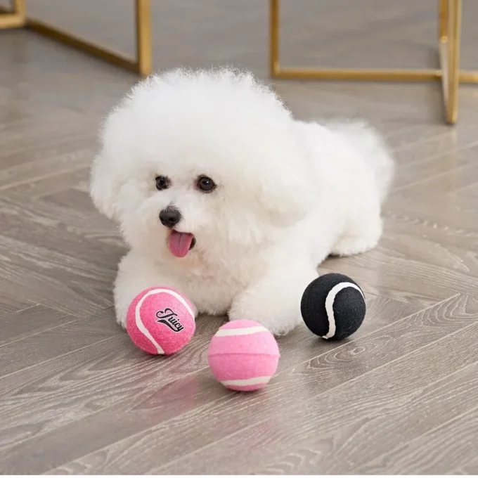 Tennis Balls for Pets Tennis Balls for Pets