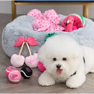Tennis Balls for Pets
