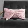 Velvet Bow Decorative Pillow Velvet Bow Decorative Pillow